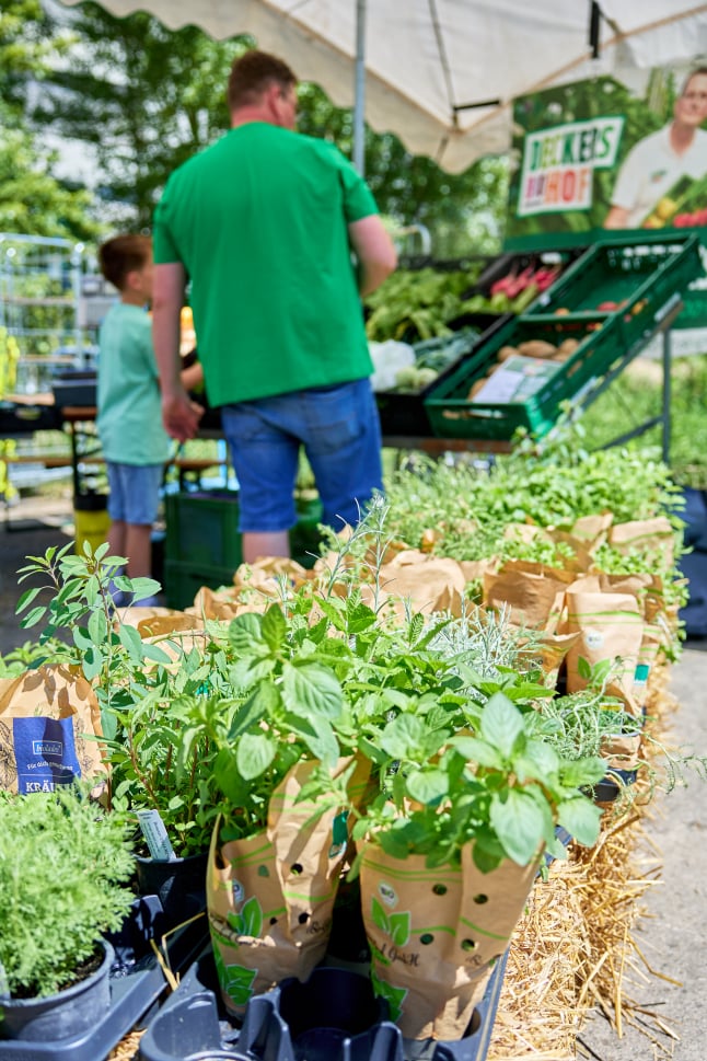 Farm Food Festival